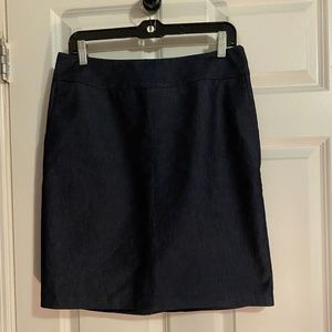 Womens Denim (Chambray) Skirt